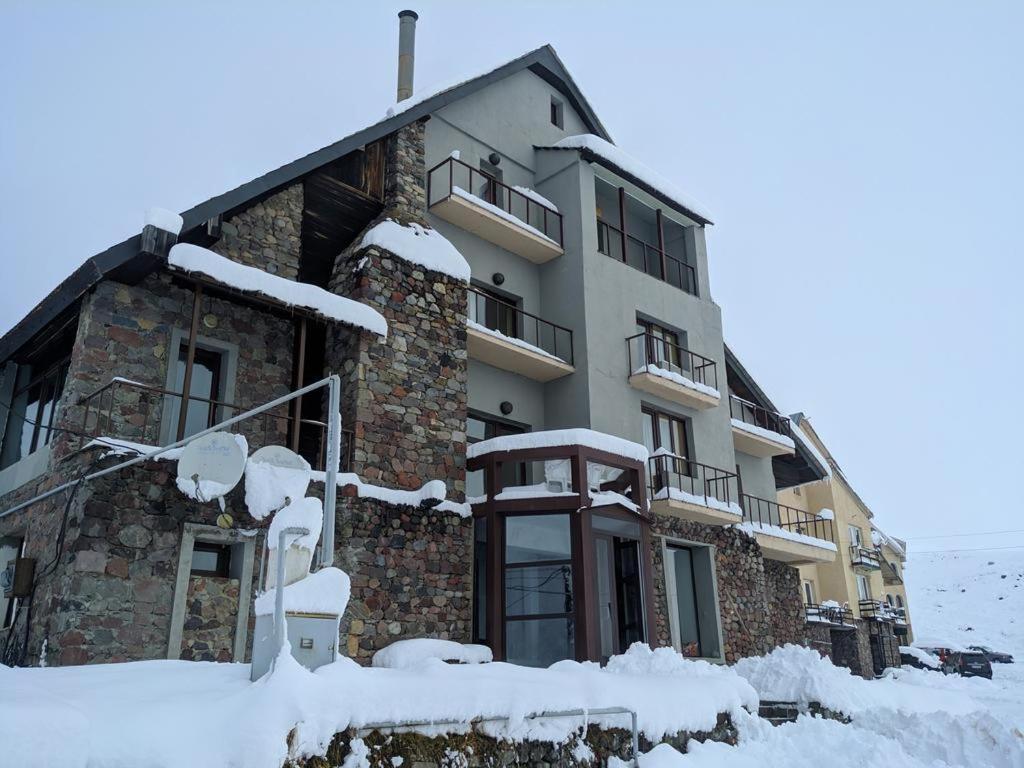 New Shino Gudauri Hotel Eksteriør billede