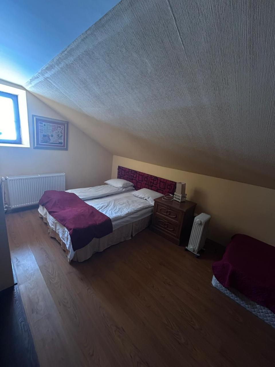New Shino Gudauri Hotel Eksteriør billede